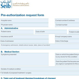 Pre-Authorization form picture